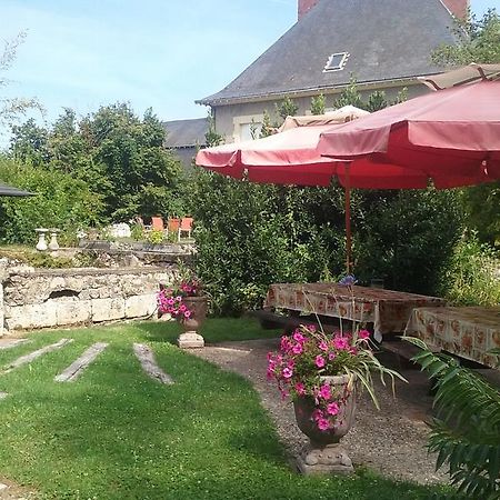 Le Moulin Du Modon Proche Du Zooparc De Beauval Bed & Breakfast Couffy Exterior foto