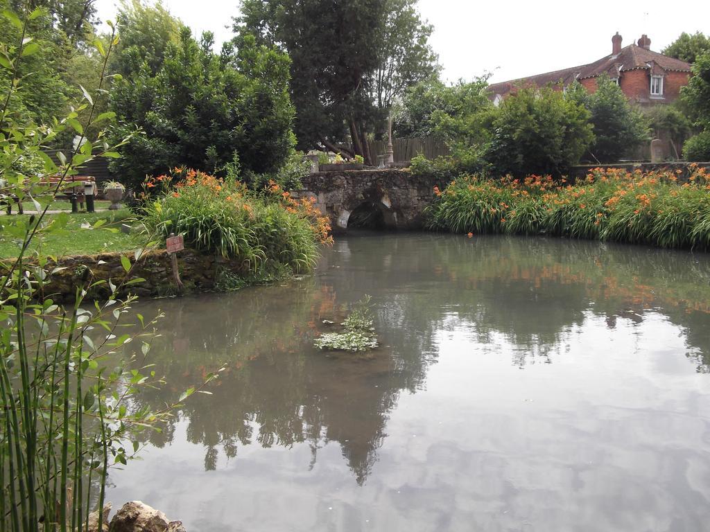 Le Moulin Du Modon Proche Du Zooparc De Beauval Bed & Breakfast Couffy Exterior foto